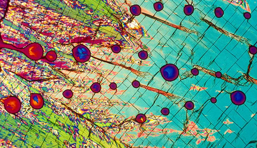 Капля водки под микроскопом © i-Winemaker.com, Bev Shots