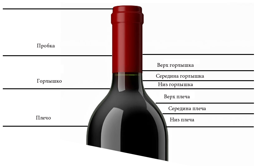 Строение винной бутылки