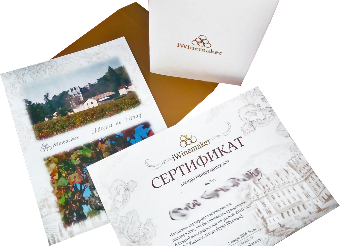 Аренда лоз. Оригинальный подарок