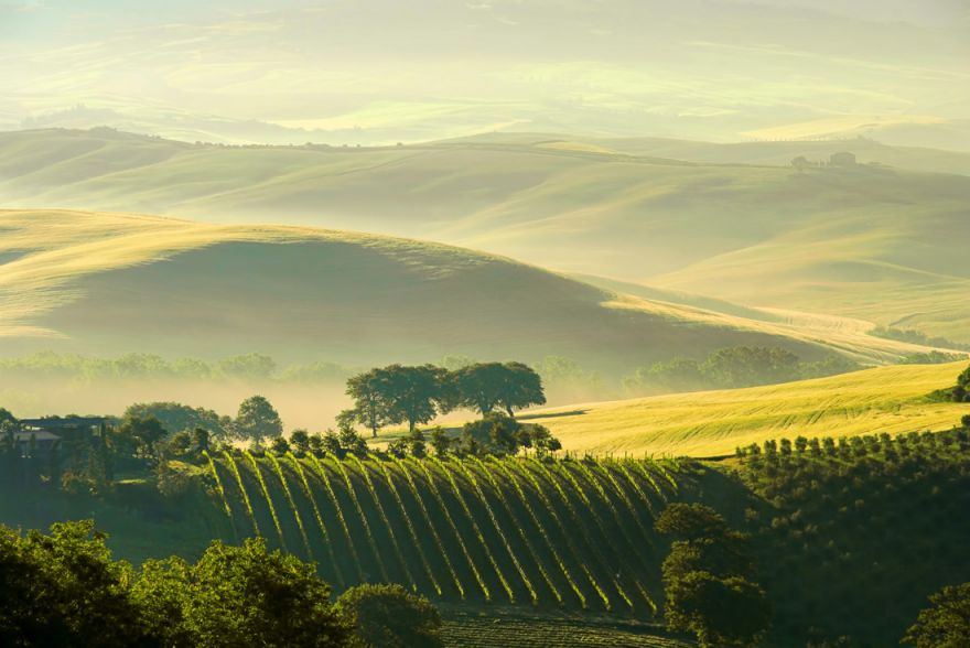 Италия © i-Winemaker.com, LianeM