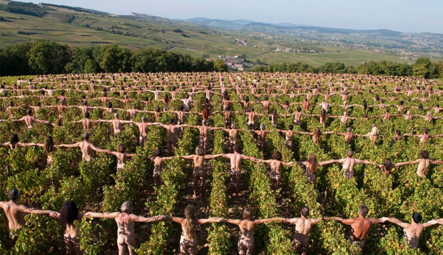 Температура поднимается на виноградниках Франции © i-Winemaker.com