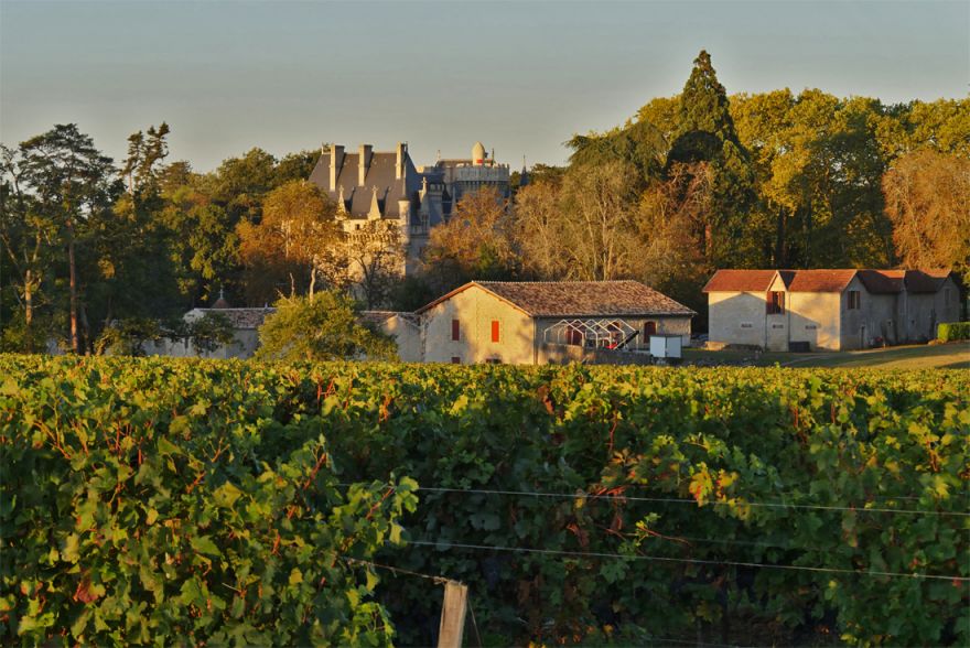 Chateau de Pitray, утро. Подъем © i-Winemaker.com