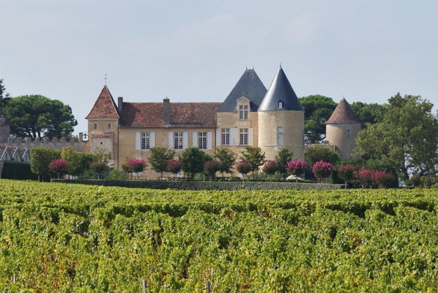 Château d'Yquem © i-Winemaker.com